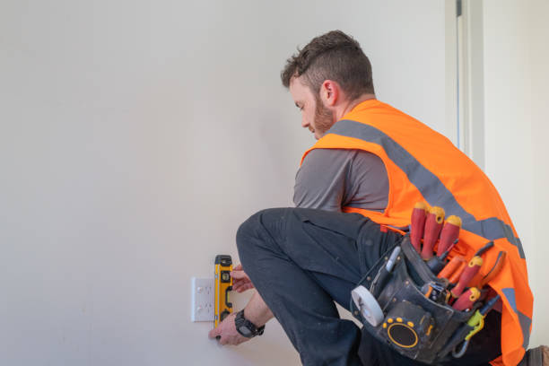 Best Licensed Electrician  in Fruita, CO